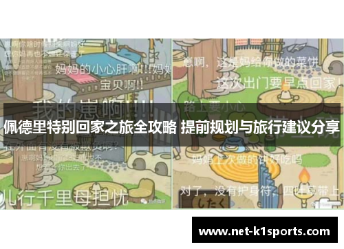 佩德里特别回家之旅全攻略 提前规划与旅行建议分享