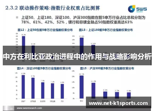 中方在利比亚政治进程中的作用与战略影响分析