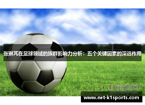 张琳芃在足球领域的族群影响力分析：五个关键因素的深远作用